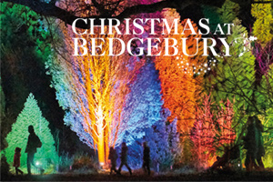 Bedgebury Pinetum : Christmas @ Bedgebury