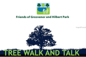 Grosvenor & Hilbert Park : Tree Walk: Native Trees & Ancient Woodland