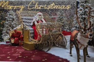 Royal Victoria Place : Make A Wish With Santa