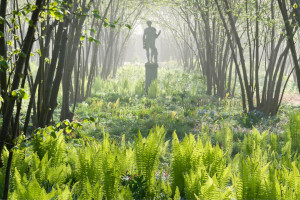 Sissinghurst : Morning Garden Tours at Sissinghurst Castle Garden