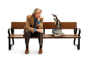 Trinity Theatre : The Penguin Lessons